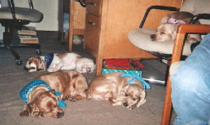 Being beautiful can be absolutely exhausting!