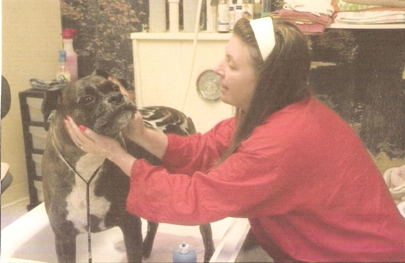 Dog Grooming ... Pet Sitting ... Pet Services