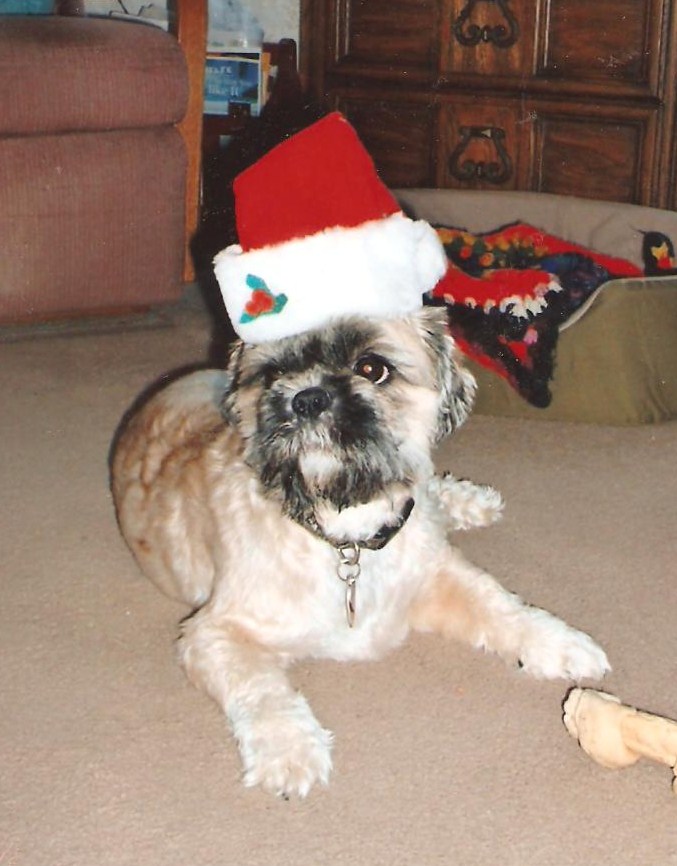 Santa Clause is coming to town!