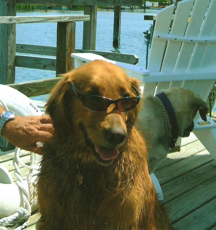 Cool dude!