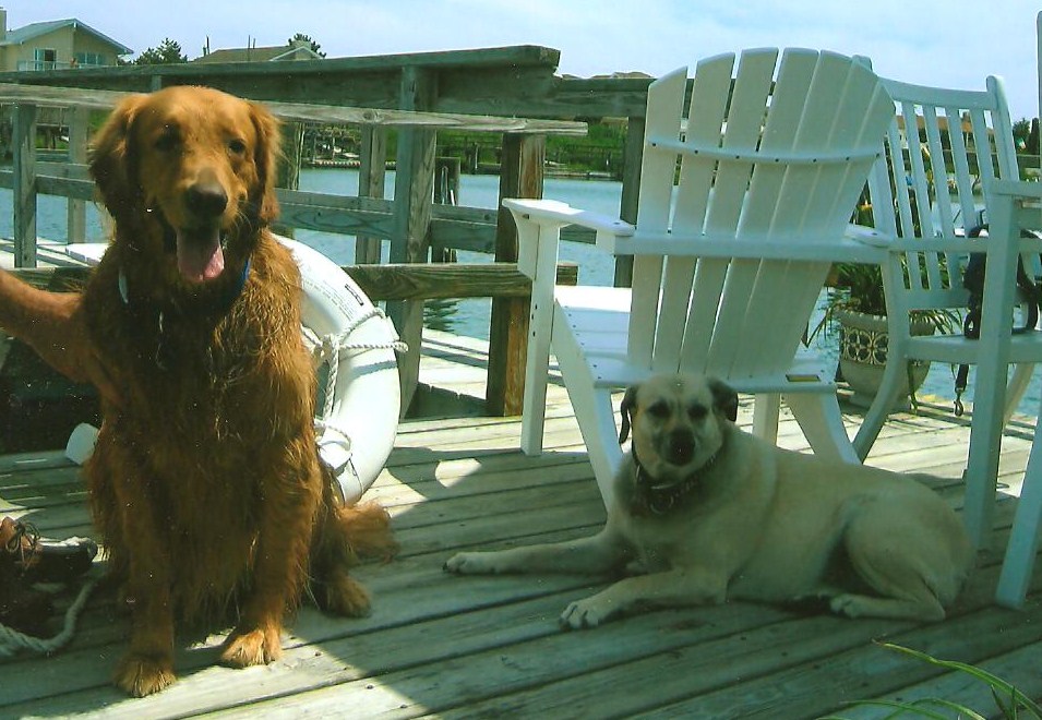 A day at the beach